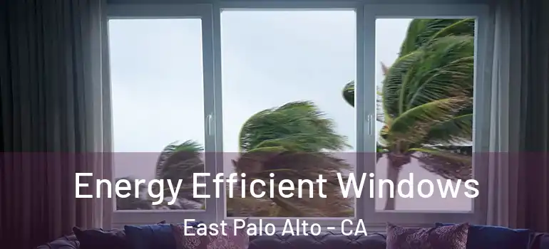  Energy Efficient Windows East Palo Alto - CA