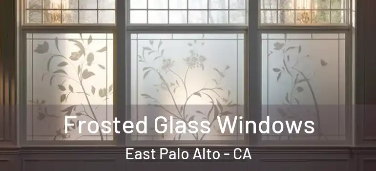  Frosted Glass Windows East Palo Alto - CA