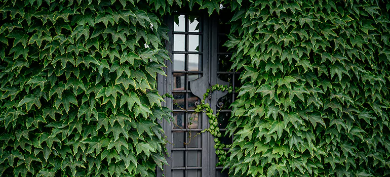 Garden Gate Repair in East Palo Alto, CA