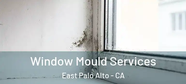  Window Mould Services East Palo Alto - CA